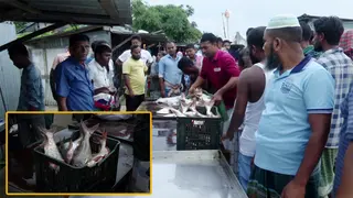 শরীয়তপুরে নদী কেন্দ্রিক আড়তে কোটি টাকার বেচাকেনা